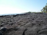 P1050921.JPG