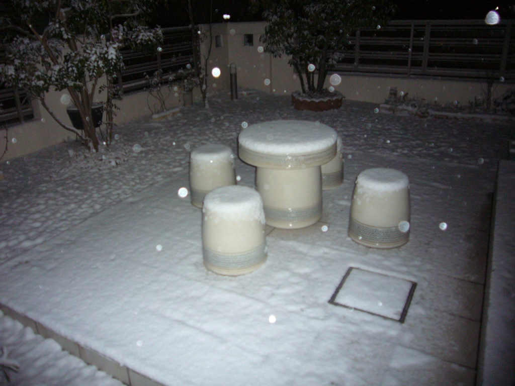 P1170351-.jpg