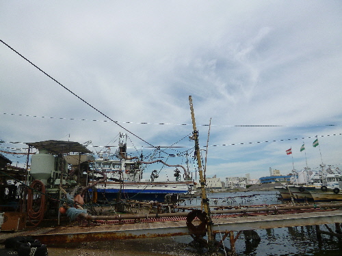 P1110585(1).JPG