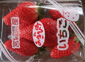 あきひめ1.jpg