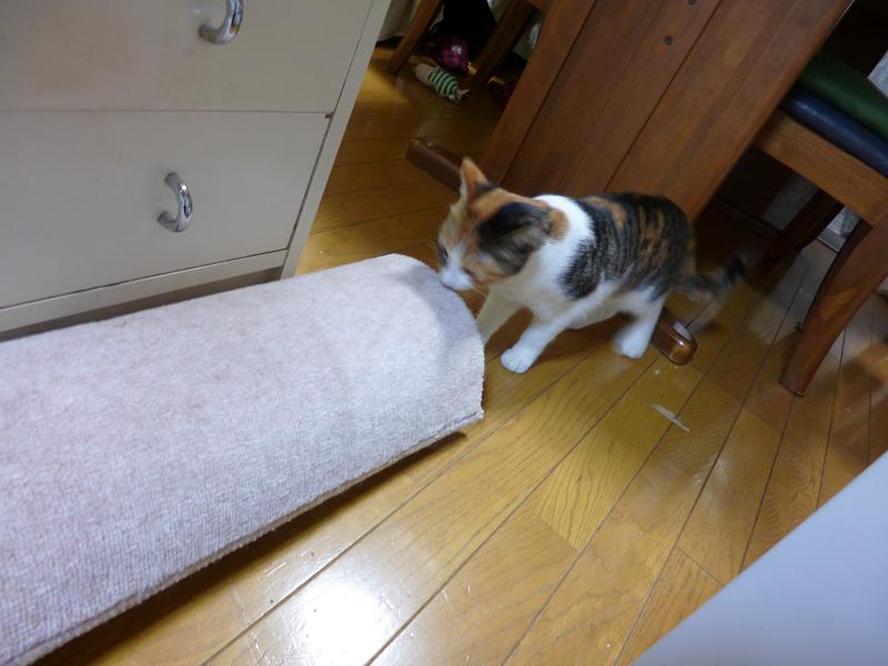 画像 2775.jpg