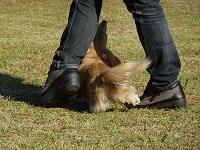 20121016150853[1].jpg