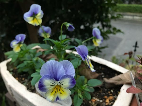 rblog-20181108170359-02.jpg