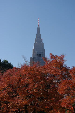 新宿御苑の紅葉