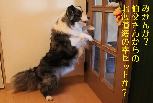 みかんか