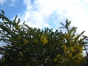 IMG_8145.JPG