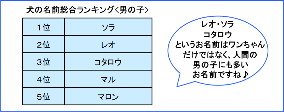 犬 の 名前 男の子