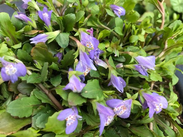 rblog-20190324174020-07.jpg