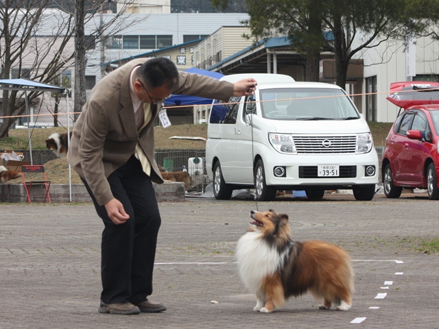 IMG_1319 - コピー.JPG