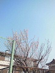 conv0538.JPG