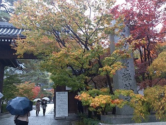 DSC_1926 - コピー.jpg
