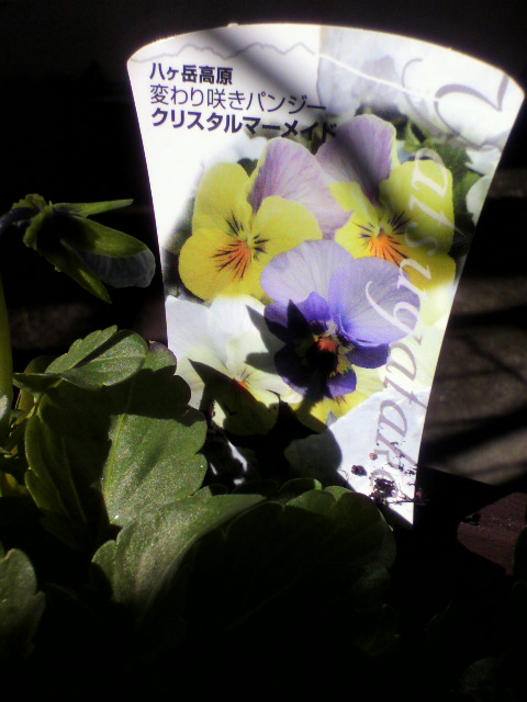 2012121313050000.jpg