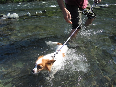 2012-0826-10.jpg