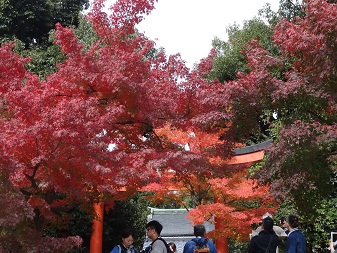 天竜寺２.jpg