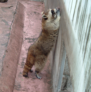 DSCF0023.PNG