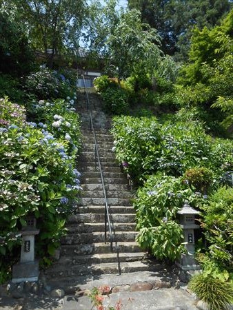 花の寺　本勝寺