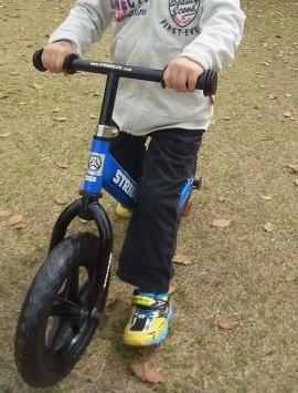 RIMG0248.JPG