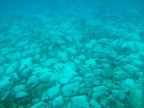 rblog-20160904172556-09.jpg