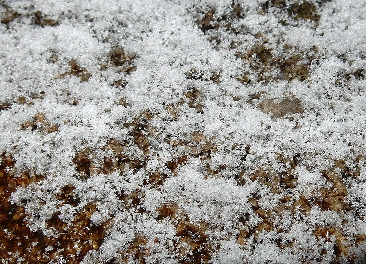 庭の雪3+.JPG