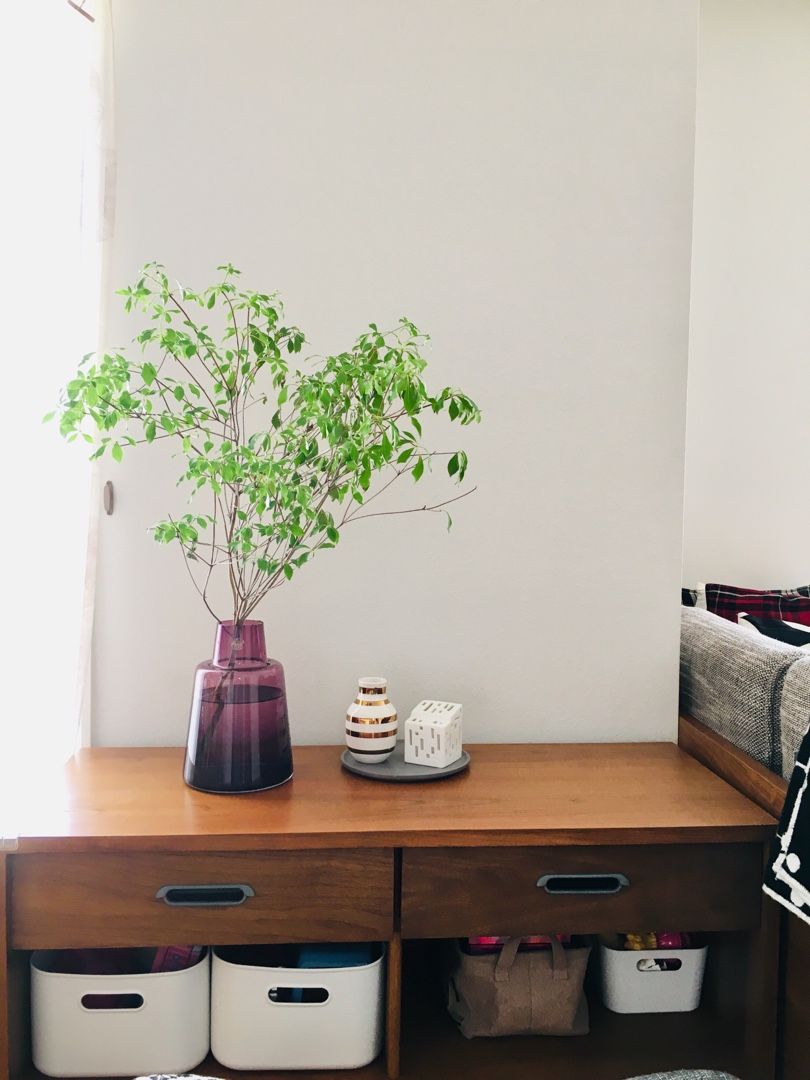 ドウダンツツジが 部屋をオシャレに見せてくれる 建売住宅での日々の記録 楽天ブログ