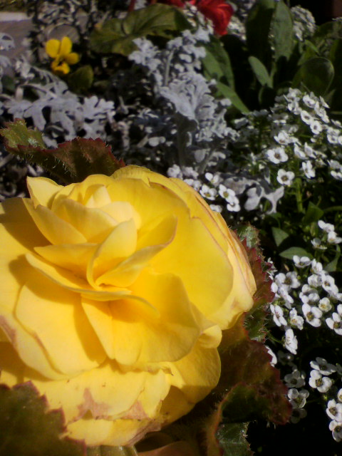 2012112012520000.jpg