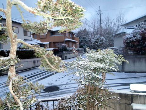 北側道路沿いの雪