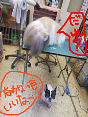 conv0604.JPG