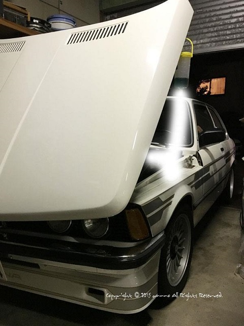 e7adb89d26.jpg