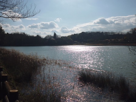 P1020159.JPG