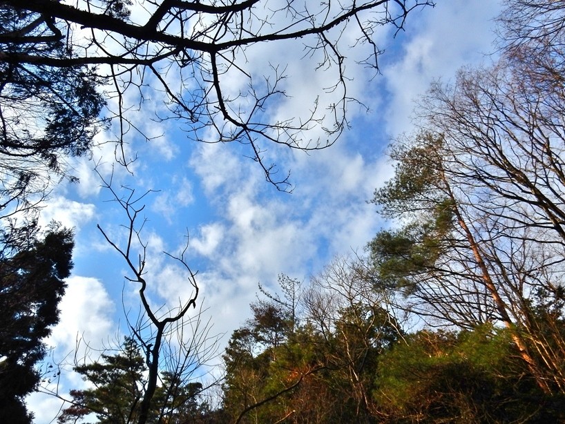 空