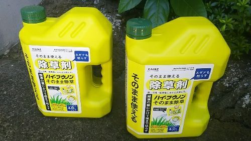 rblog-20180827074257-02.jpg