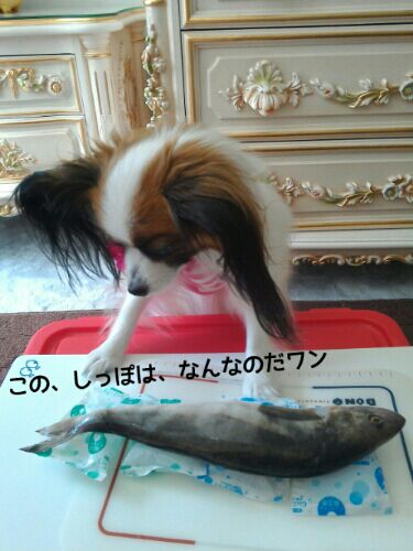 rblog-20160825160214-01.jpg