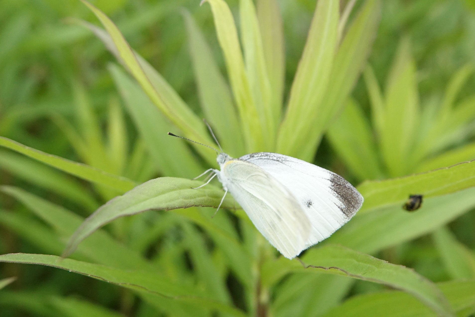 9ページ目の 季節 アウトドア親爺の徒然日記 楽天ブログ