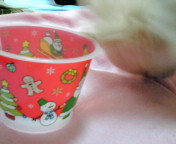 2014-12-24 16:43:37