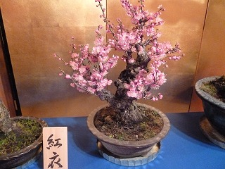 P1020990ss.jpg