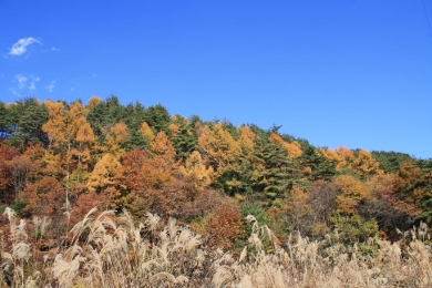 烏川渓谷緑地