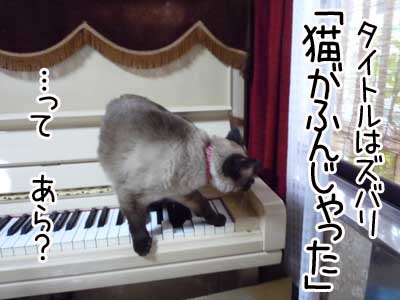 ピアノ４.JPG