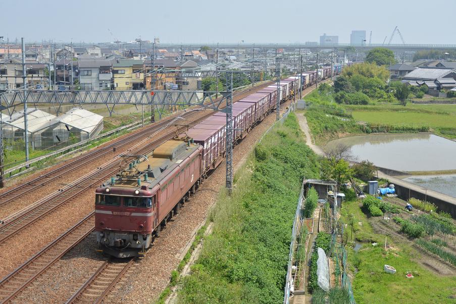 DSC_4259.JPG