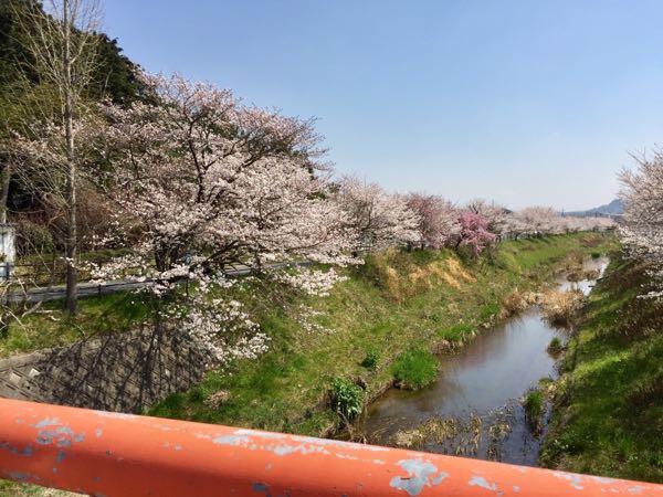 rblog-20180329055248-01.jpg