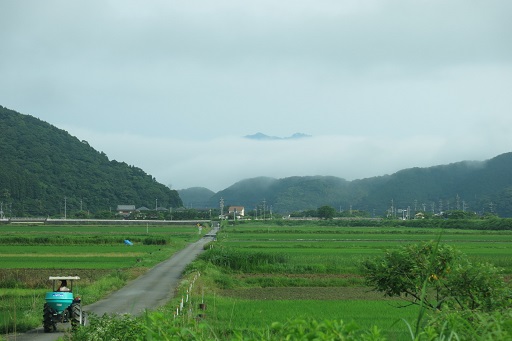 新着記事一覧 梅林庵 楽天ブログ