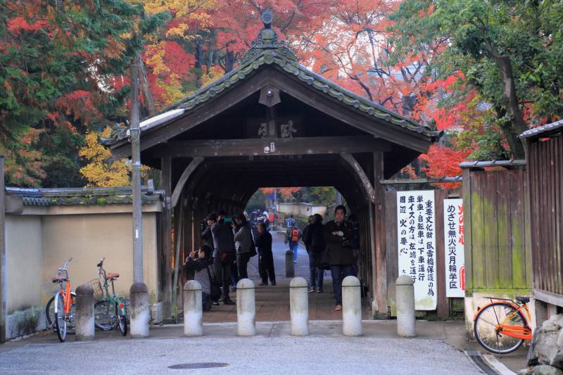 東福寺_005.jpg