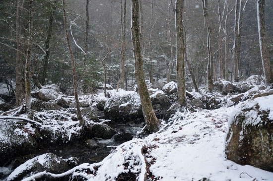 雪３