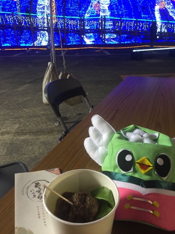 rblog-20161217084002-05.jpg