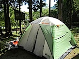 IMG_2964.JPG