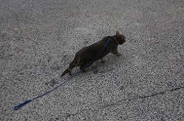 IMG_5029-8.jpg