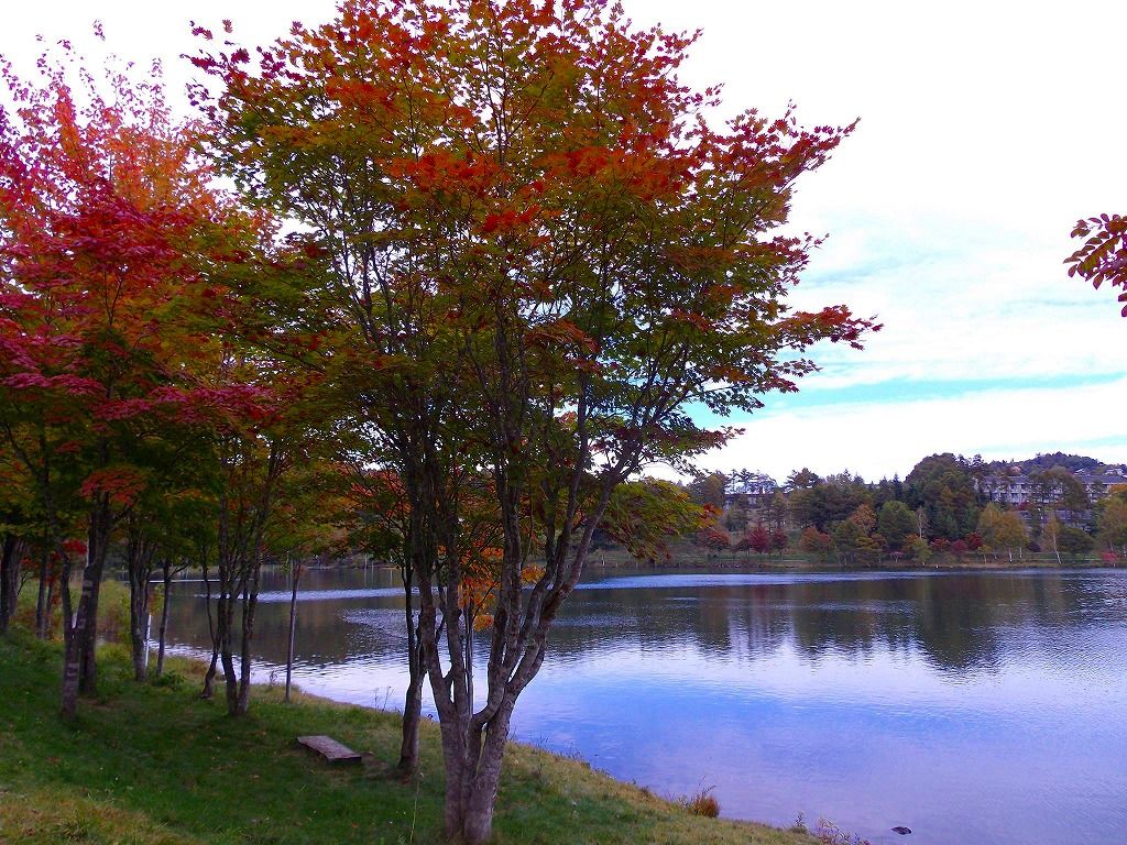 蓼科 女神湖の紅葉 蔵出し 花と自然に癒されて 楽天ブログ