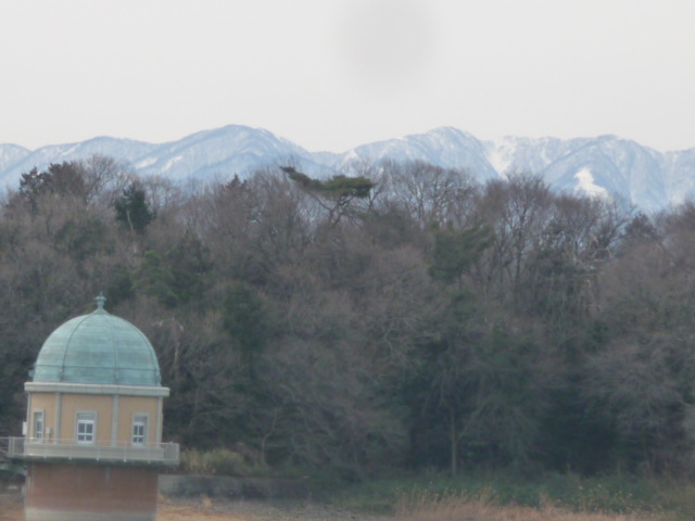 728 山々