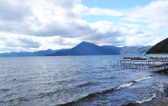 海
