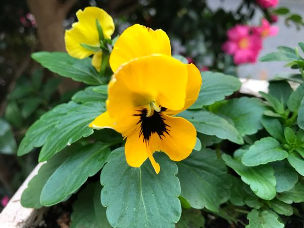 rblog-20181203161122-08.jpg