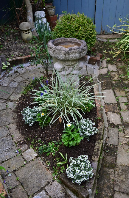 DSC_0501.JPG